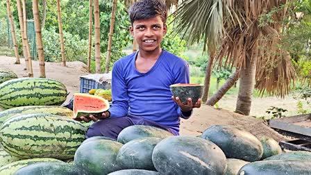 WATERMELON CULTIVATION IN SHEOHAR