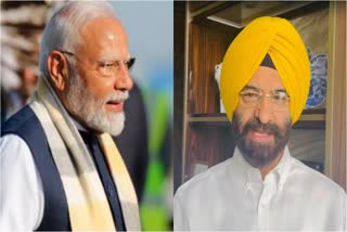 भारत- कनाडा के बीच वीजा सेवा फिर से शुरू होने पर  सिरसा ने जताई खुशी