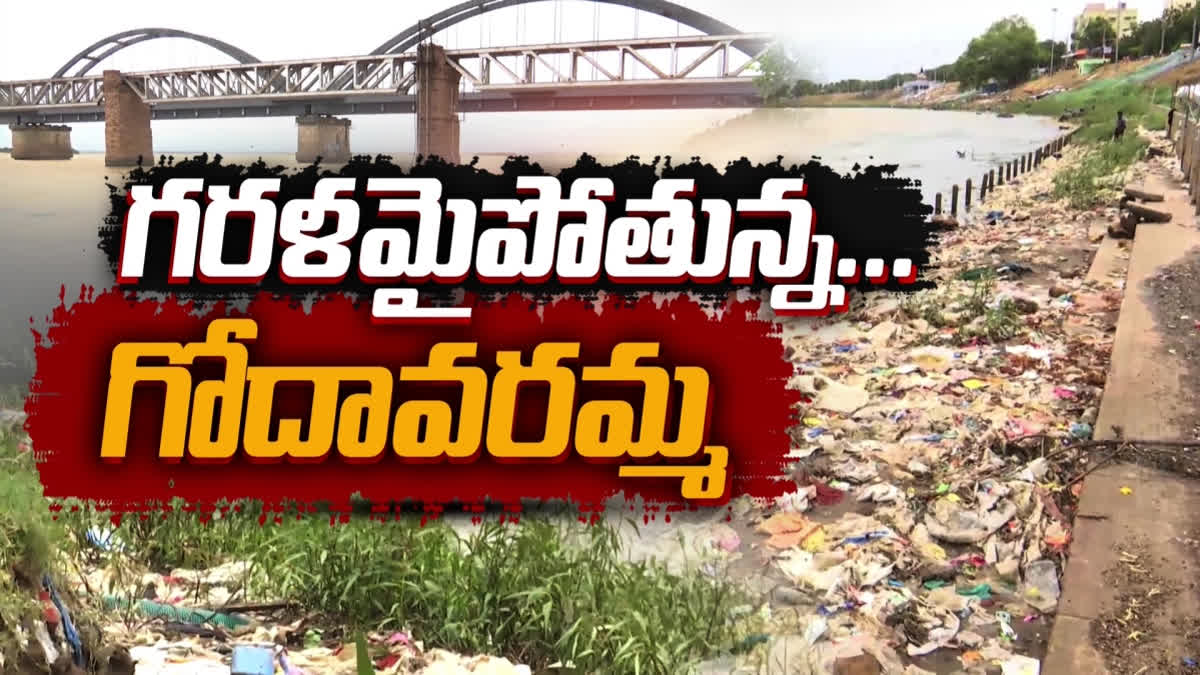 godavari river pollution