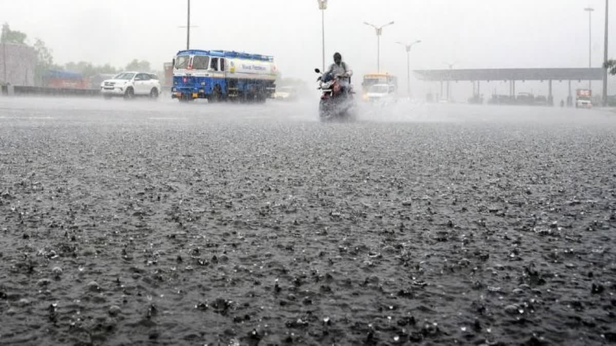 rain alert in haryana