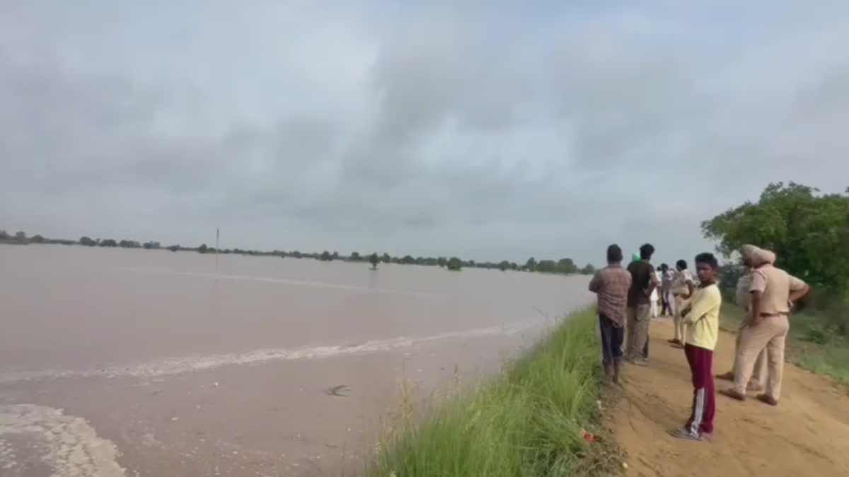 The MLA of Mansa appealed to the people to help in the efforts to stop the flood