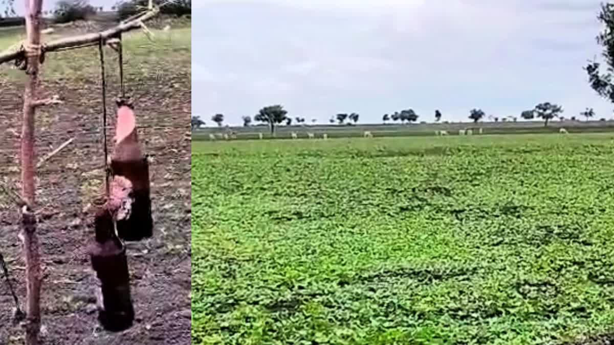 ಬಿಯರ್ ಬಾಟಲಿ ಮೊರೆ ಹೋದ ಧಾರವಾಡ ರೈತರು