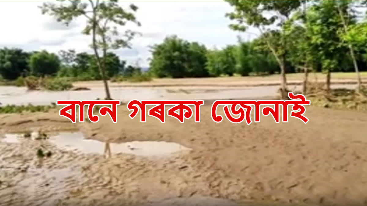 Devastating flood in Assam