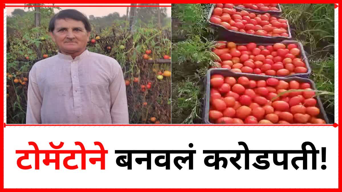 Tomato Farmer Crorepati