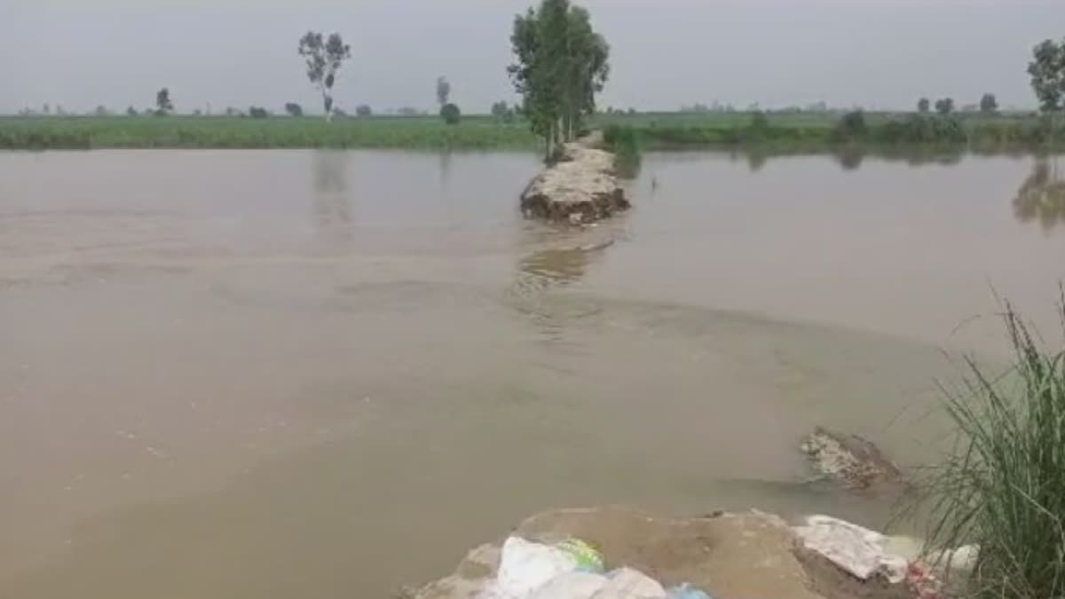 The defense embankment on the banks of Beas river was broken