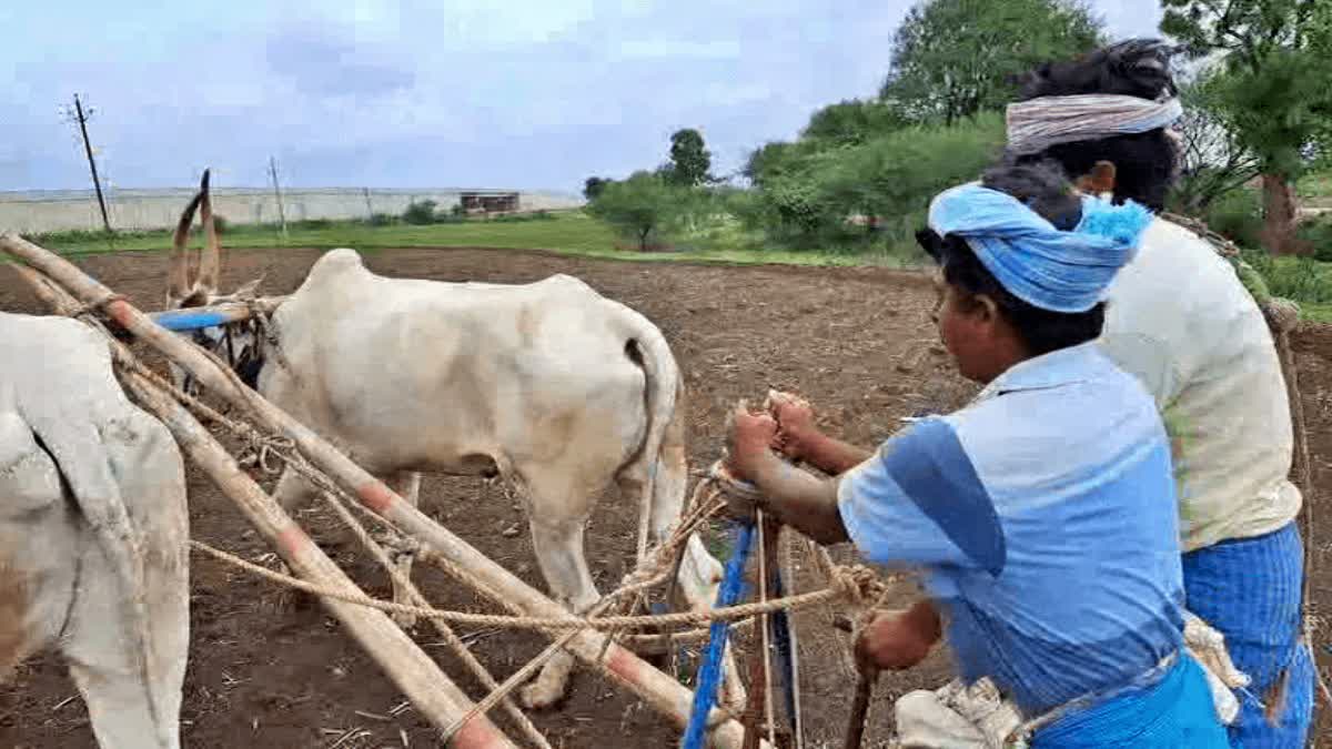 ಹಾವೇರಿ