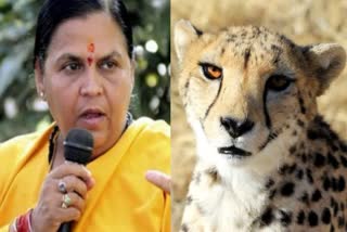 Uma Bharti