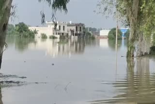 flood latest news in haryana