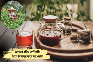 Health benefits of Assamese herbs