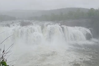 Bogatha Waterfalls in Telangana