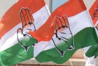 Congress Flag