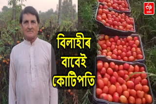 Himachal Crorepati Tomato Farmer