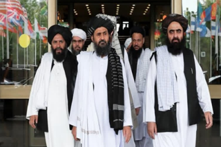 US says Taliban should not harbor terrorism on their soil