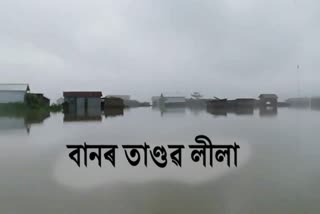 assam flood latest news