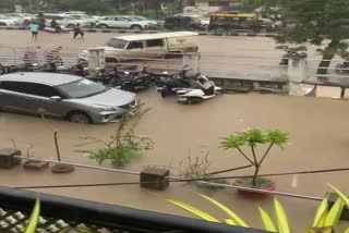 Heavy Rain In Chandrapur