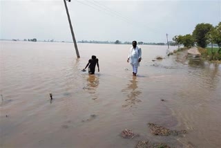Haryana Flood Update