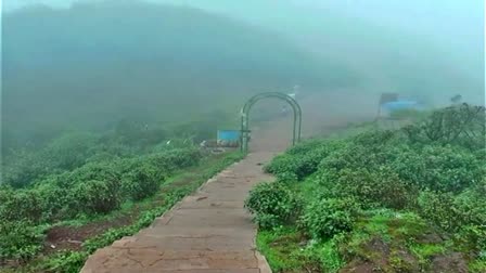 ಮುಳ್ಳಯ್ಯನಗಿರಿ ಶಿಖರ