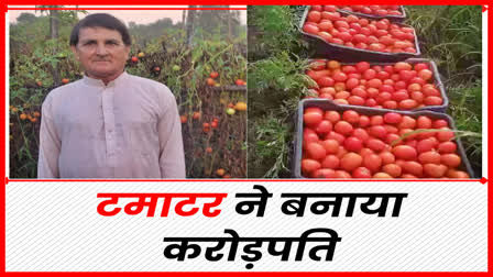 Crorepati Tomato Farmer