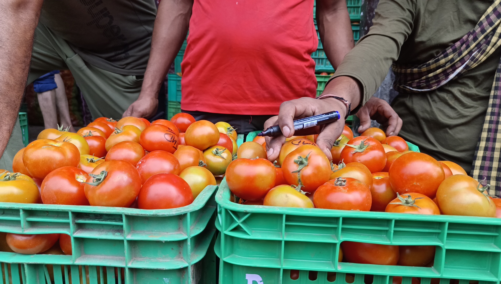 Solan Sabji Mandi