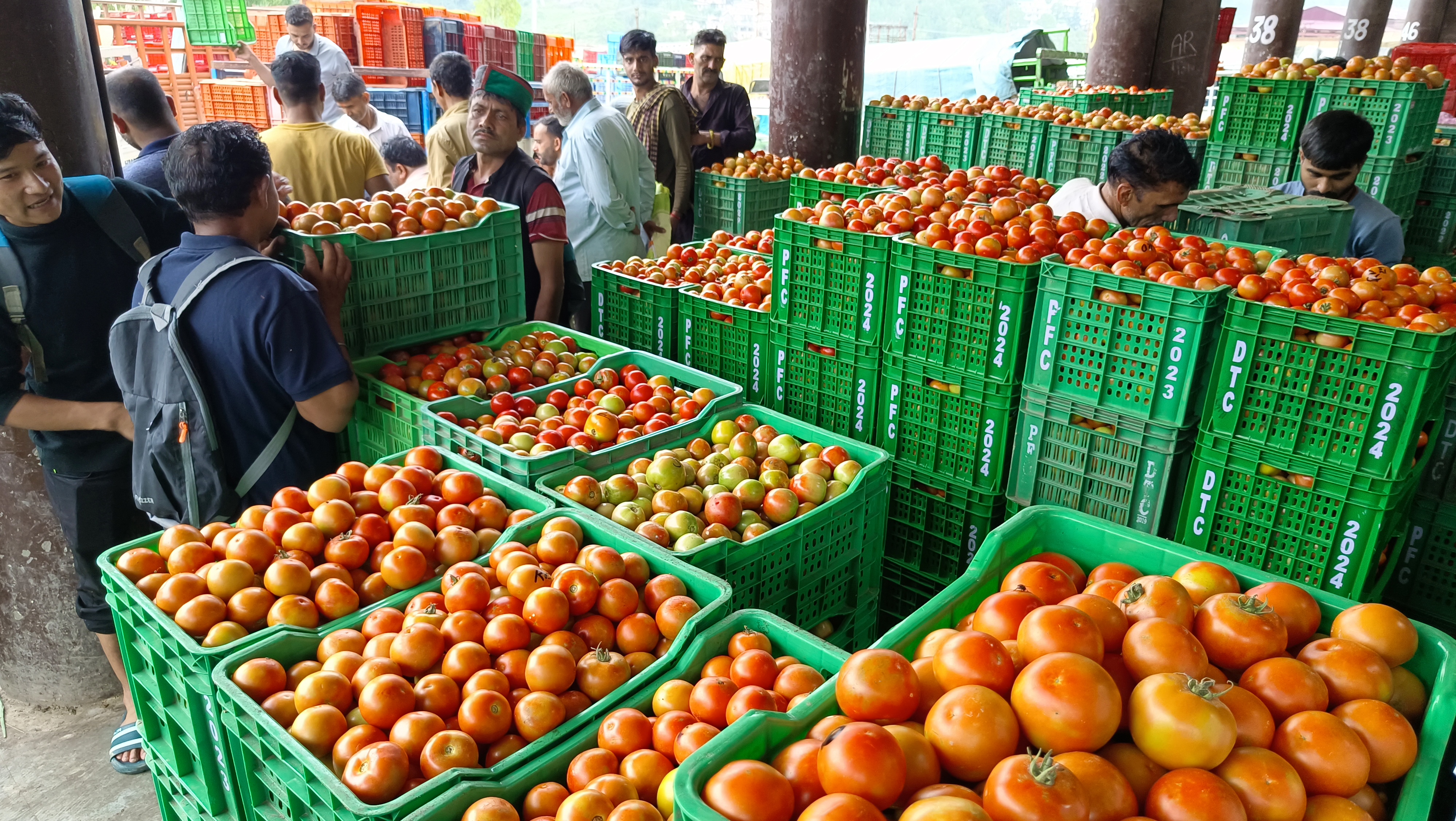 Solan Sabji Mandi