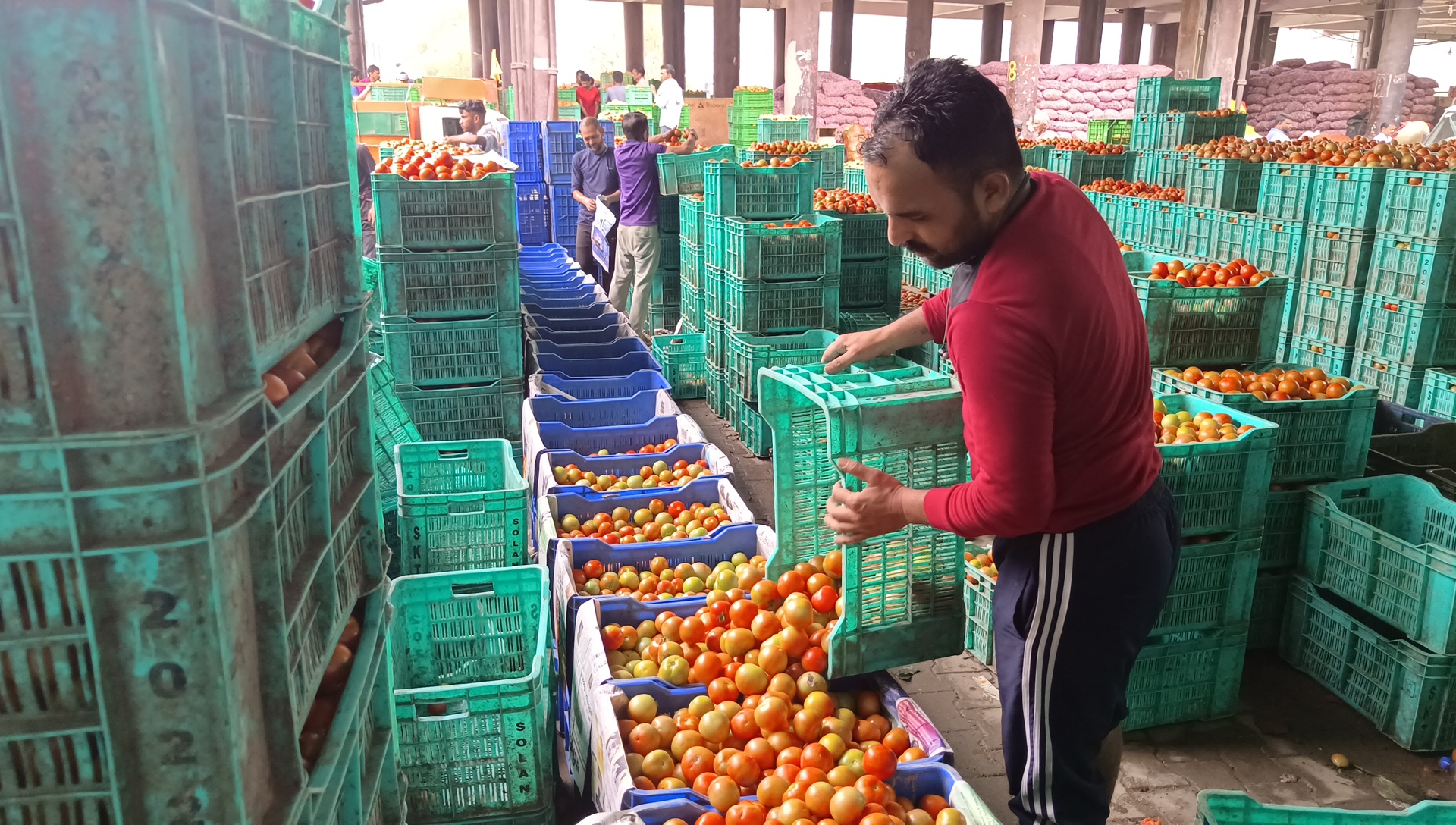 Solan Sabji Mandi