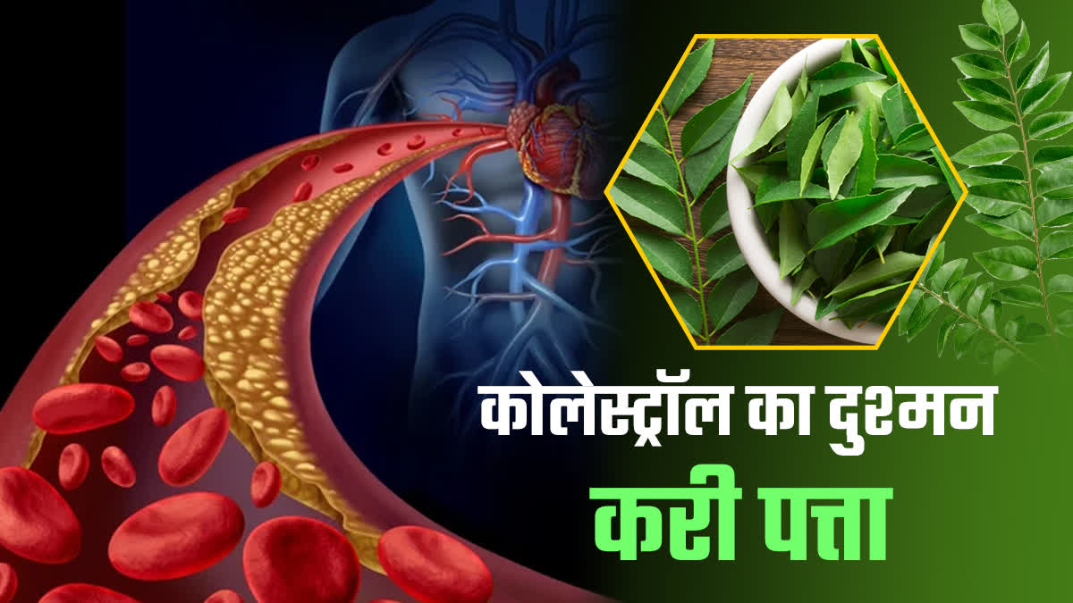 CURRY LEAF BENEFITS