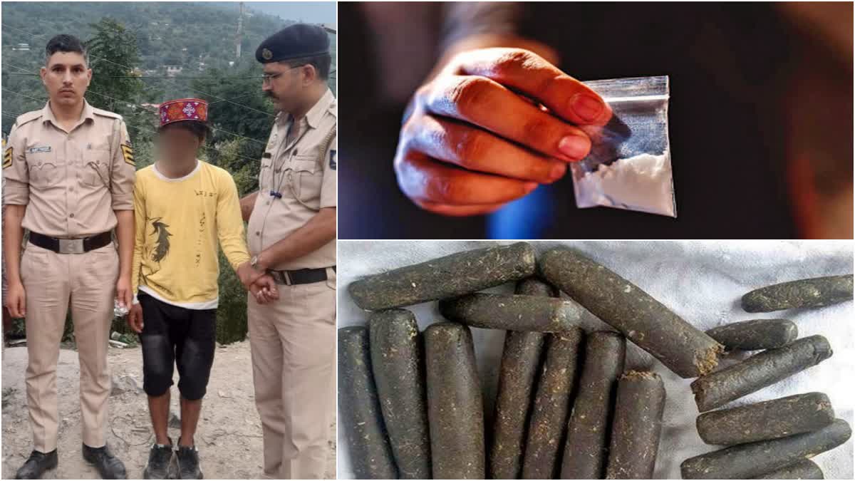 Kullu Drug Case