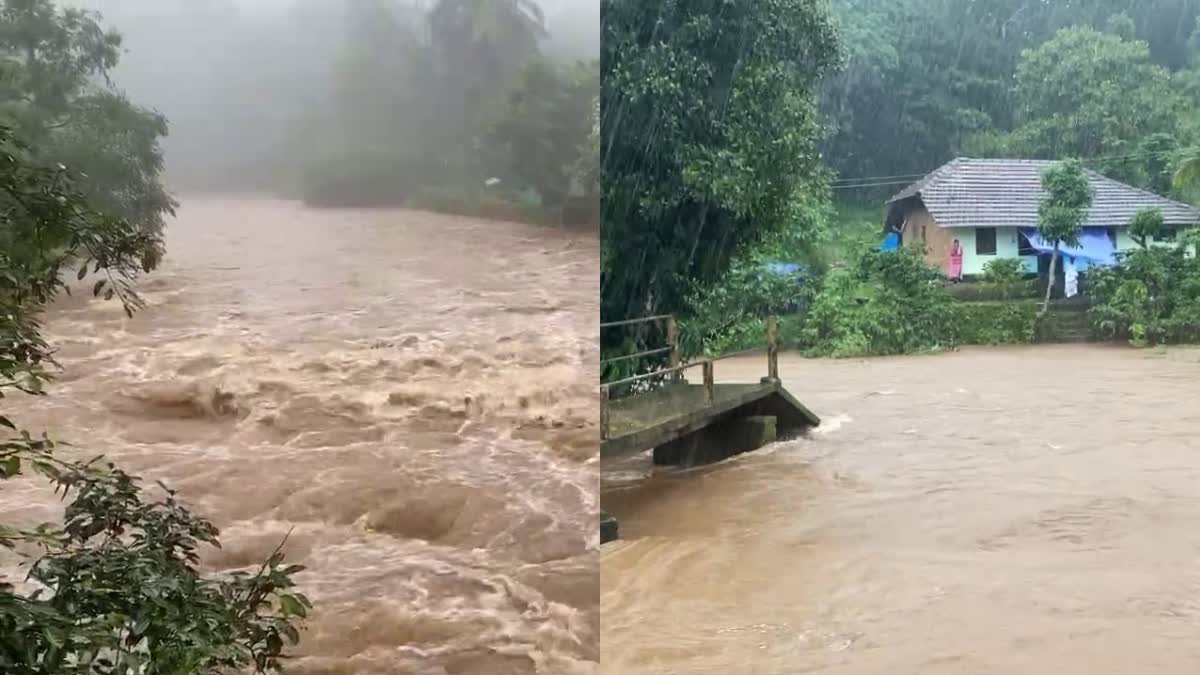 RAIN ALERT IN KERALA  വയനാട്ടിൽ കനത്ത മഴ  RAIN DISASTER IN WAYANAD  WEATHER UPDATES IN KERALA