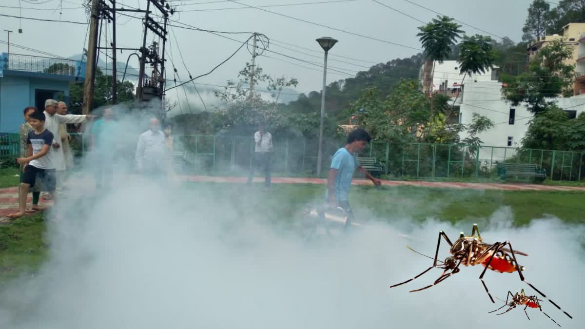 Fogging prevent dengue in Nahan