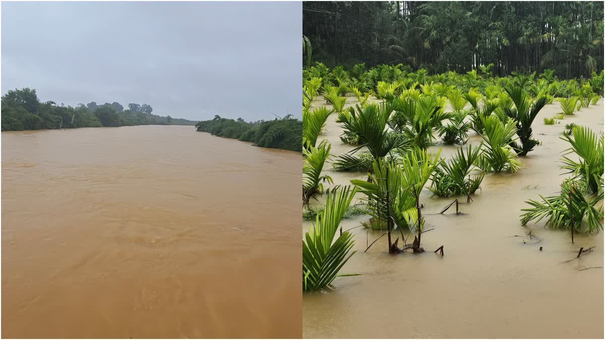 VARADA RIVER FLOOD