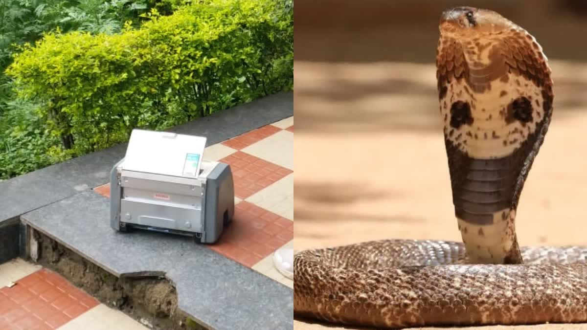 BHOPAL SNAKE ENTERED PRINTER