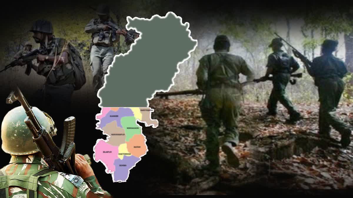 Twelve Naxalites killed in Gadchiroli