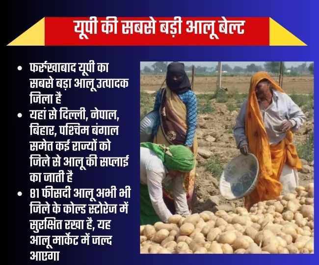 vegetables-price-potato-prices-will-fall-in india sabji mandi -know-how-and-when-in-hindi