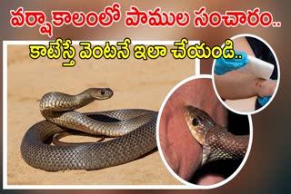 Snake Bite Precautions