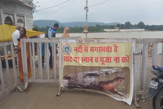 CROCODILE SETHANI GHAT NARMADAPURAM