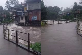 RAIN DISASTER  സംസ്ഥാനത്ത് തോരാമഴ  ONE DIED DUE TO RAIN DISASTER  WEATHER UPDATES IN KERALA