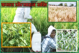 Crop Diversification Scheme