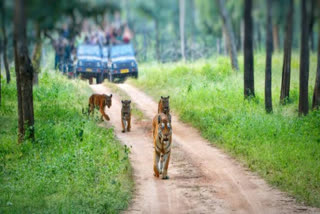 BIOLOGICAL PARK AT PERAMBRA  കോഴിക്കോട് ബയോളജിക്കൽ പാർക്ക്  ടൈഗർ സഫാരി പാർക്ക്  KERALA TOURISM NEWS