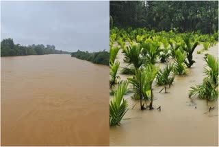 VARADA RIVER FLOOD