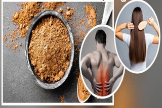 NUT AND SEED POWDER FOR  Healthy skin and Hair