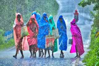 Infectious DISEASES IN MONSOON  ഇടുക്കിയില്‍ പകർച്ച വ്യാധി  ഇടുക്കി ജില്ലാ മെഡിക്കൽ ഓഫിസർ  Heavy Rain Idukki