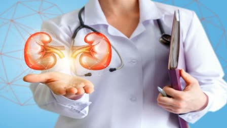 Kidney Health News