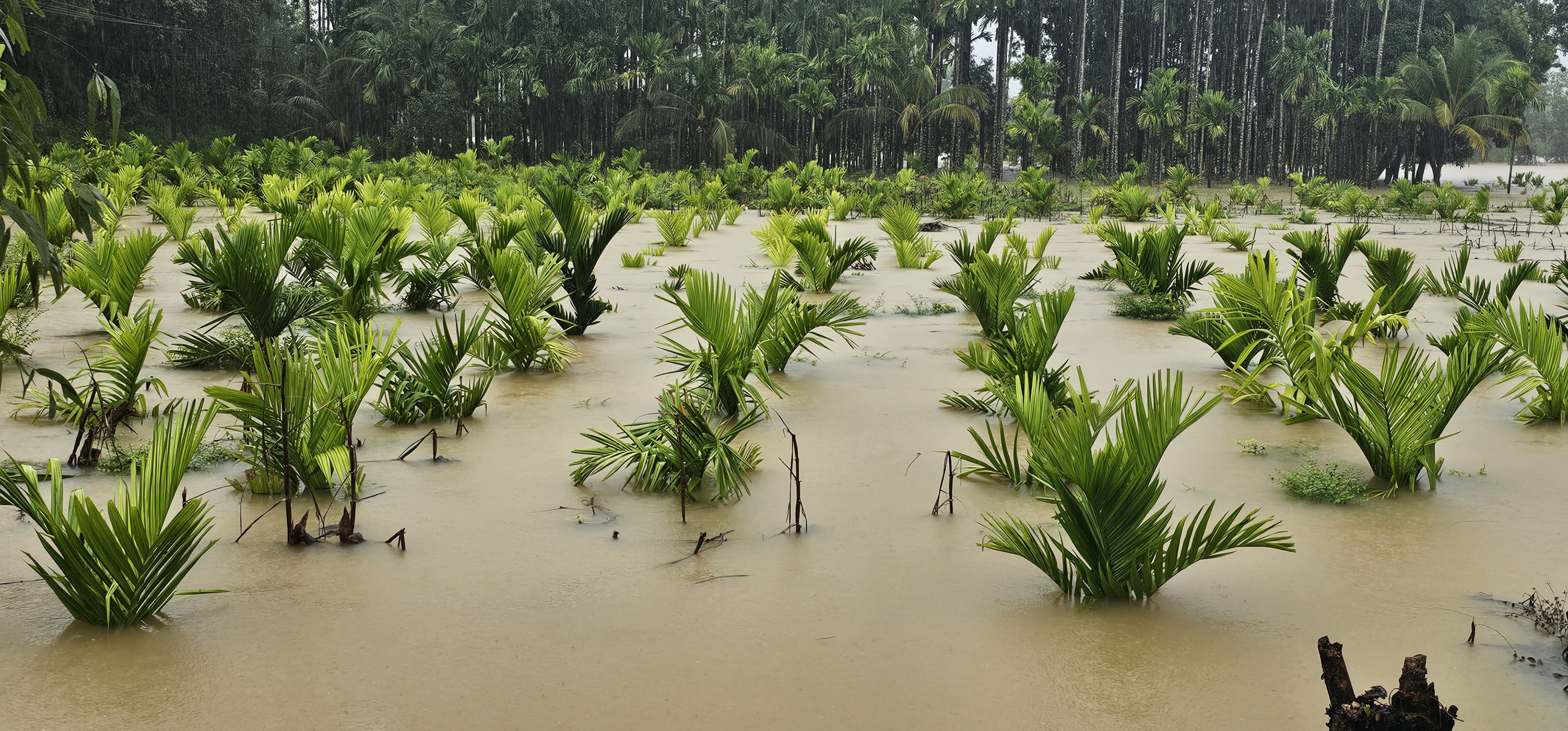 VARADA RIVER FLOOD