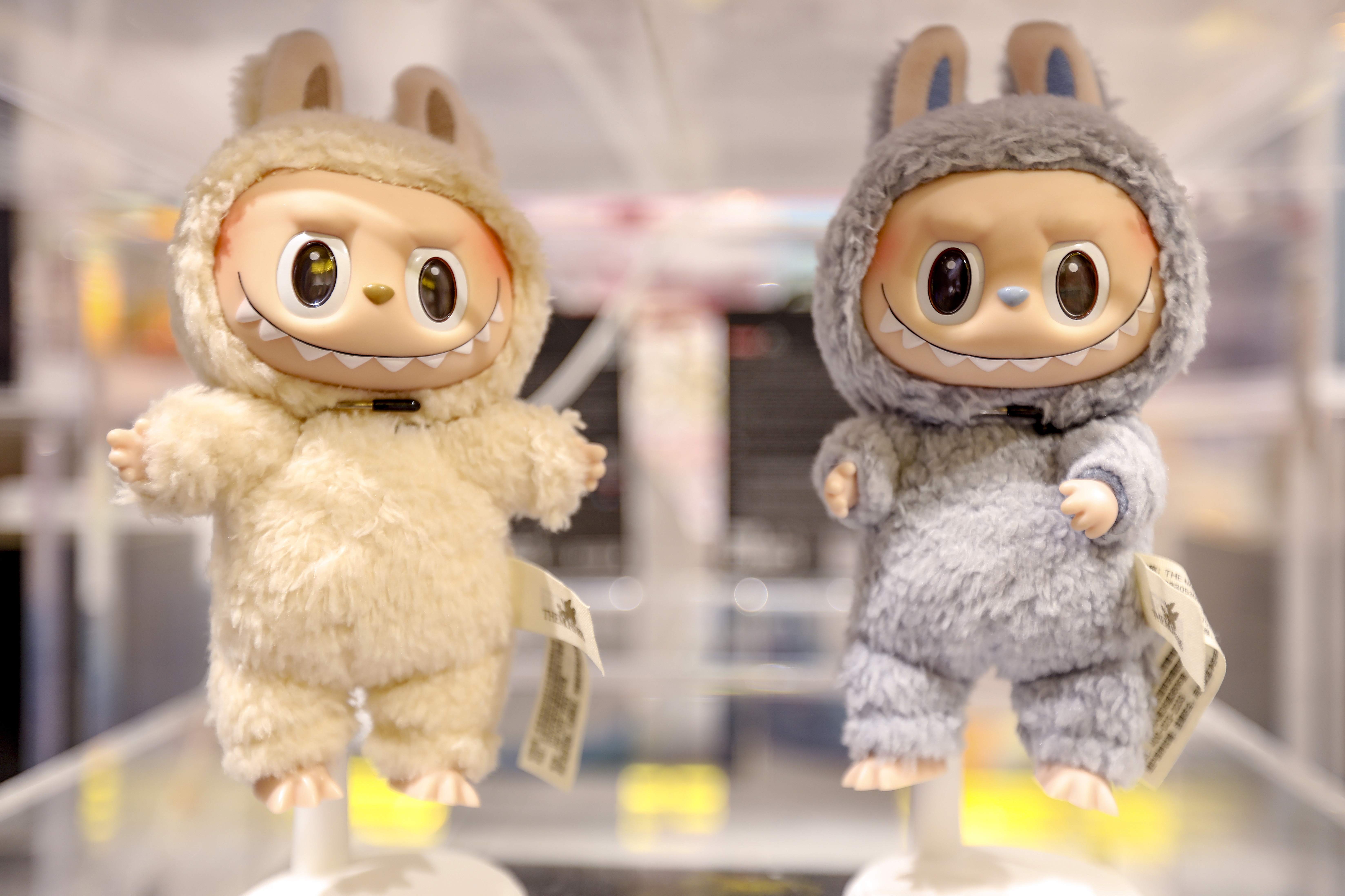 Labubu doll increasing hype among youngsters