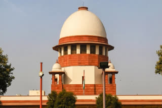 SC Tells MEA To Probe Russian Embassy Officials In Child Custody Case