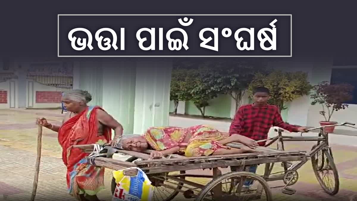 95 year old woman carried on trolley to receive old age pension