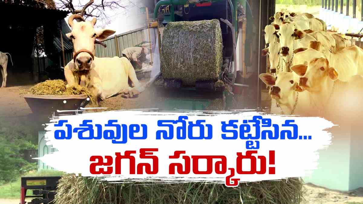 YSRCP Negligence on Cattle Welfare