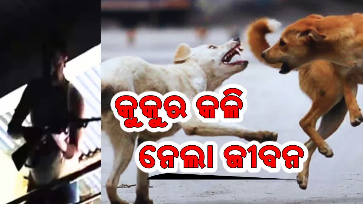 କୁକୁରକୁ ନେଇ ବିବାଦ ପରେ ଫୁଟିଲା ଗୁଳି