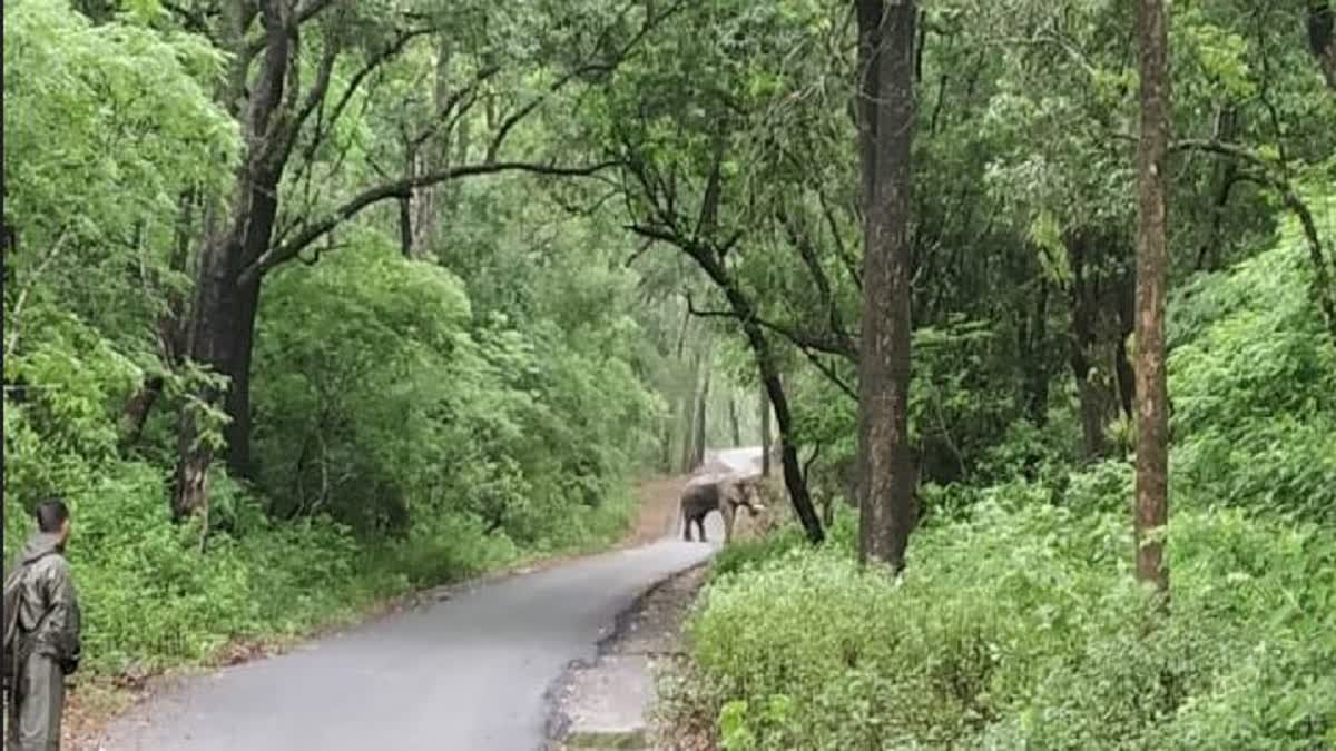 Etv Bharat