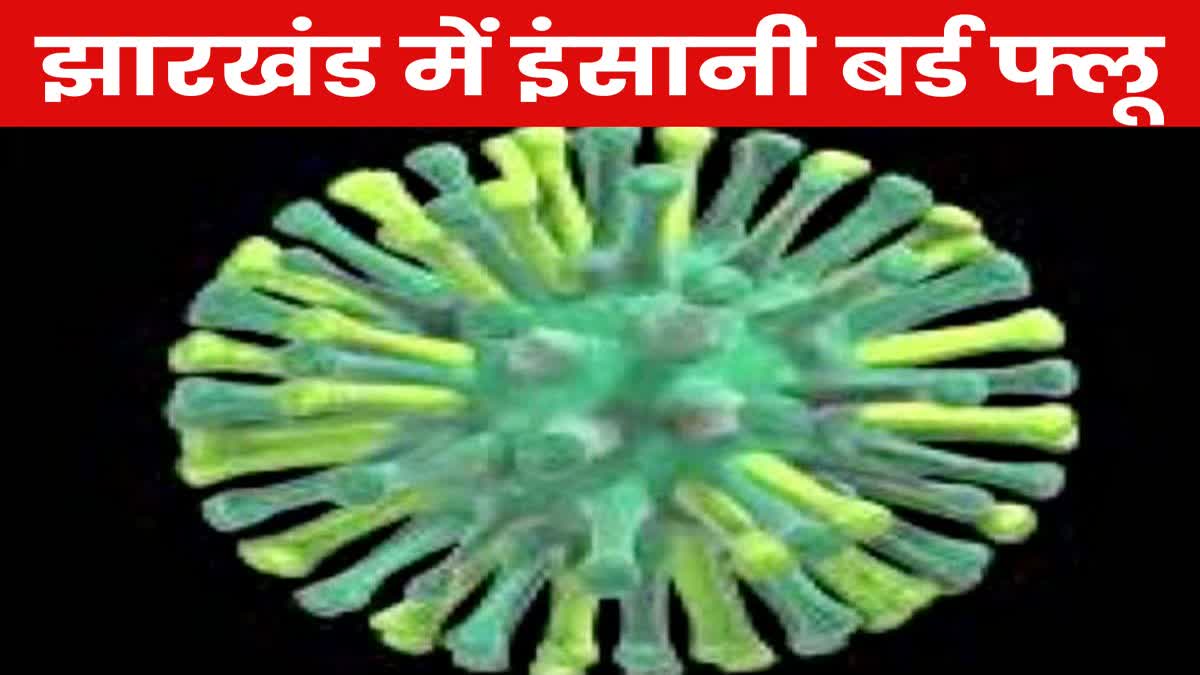 bird flu found in Jharkhand